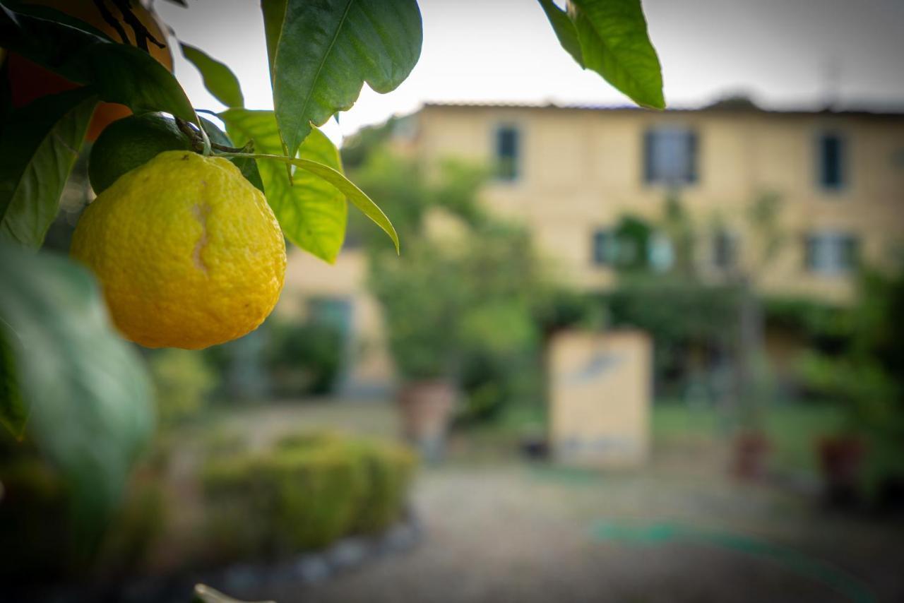 Villa Ape Rosa Relais Florencia Exterior foto